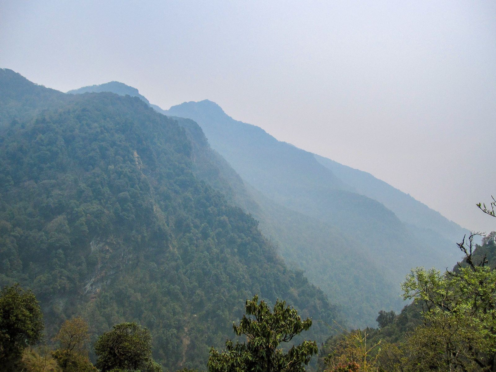 Views of the Himalayas
