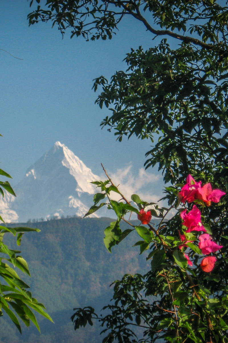 Machapuchare from Begnas Lake in Nepal