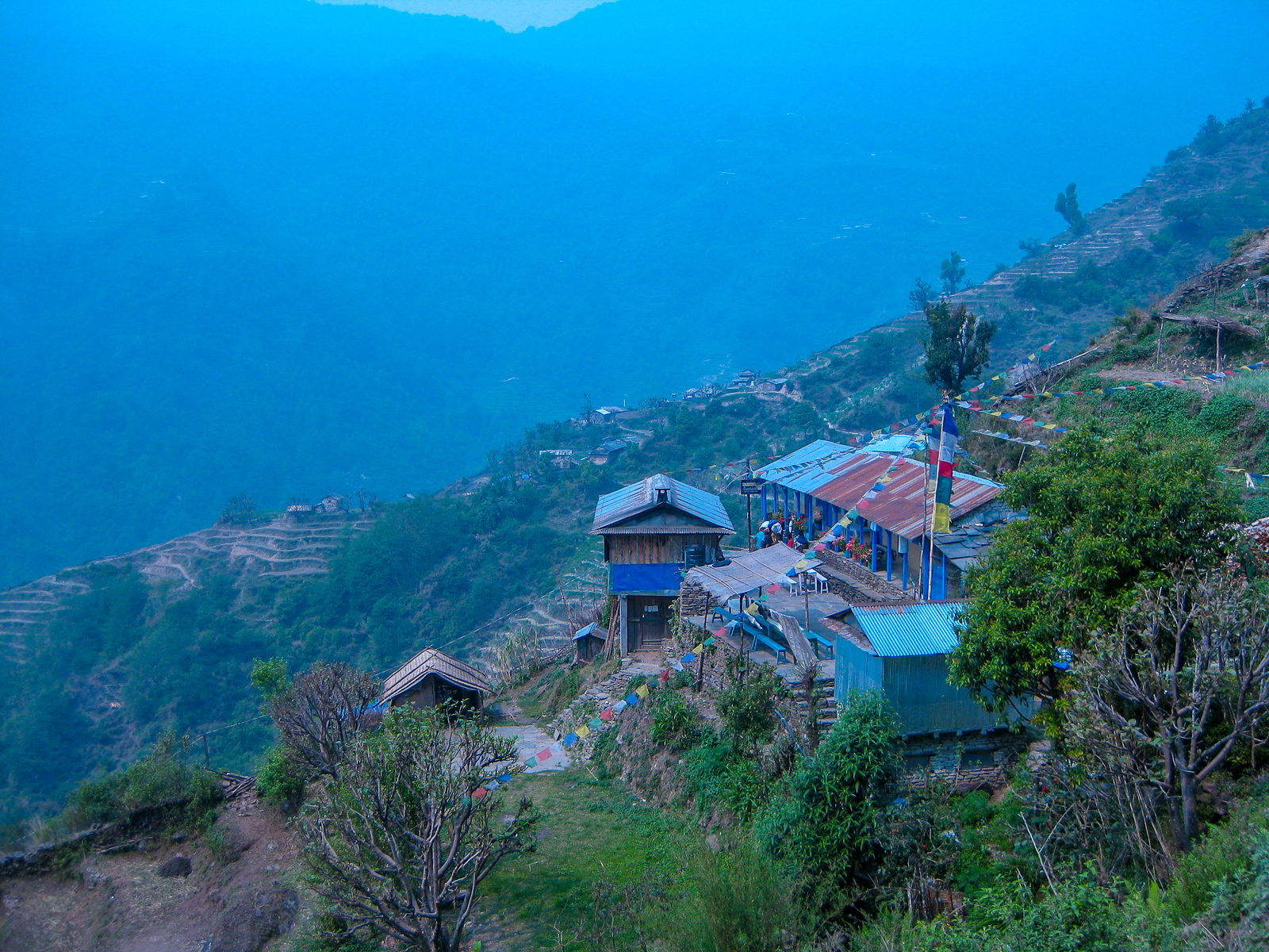 should you take the poon hill trek?