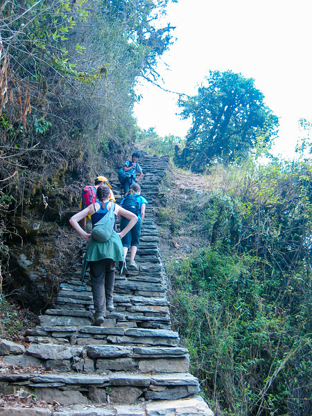 Hiking in the Himalayas to Poon Hill