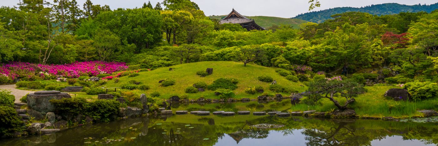 traveling to Nara, Japan